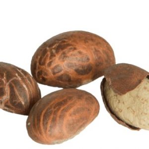 Fresh Bitter Kola 40g (4 pieces)